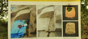 p2.jpg